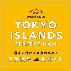 TOKYOISLAND Perfct NAVI