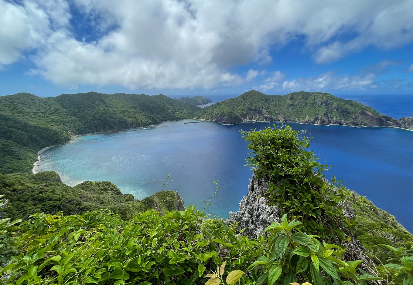 母島の全景