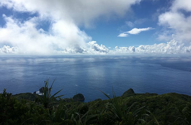 母島の乳房山