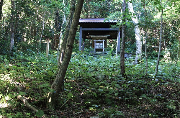 御蔵島の稲根神社