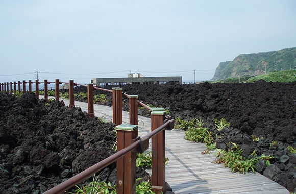 三宅島の火山体験遊歩道