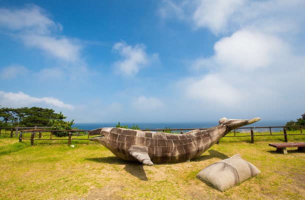 式根島の小の口公園